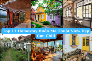 Top 11 Homestay Buôn Ma Thuột View Đẹp Cực Chill