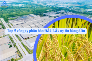 Top 5 công ty phân bón Đắk Lắk uy tín hàng đầu